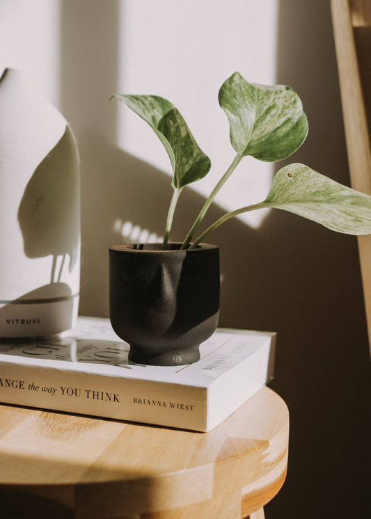 Mini Concrete Face Planter in Noir